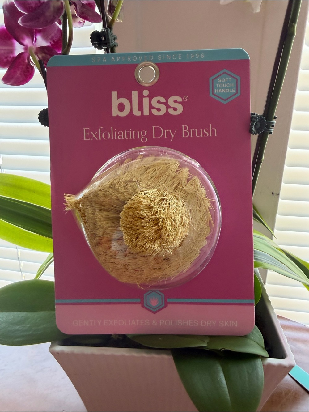Bliss Exfoliating Dry Brush — Pink with Natural Bristles